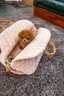BonBon - Image 2